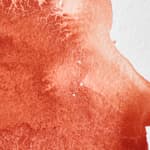 Light Red